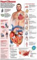 /album/infograficos-/heartdiseasef-e1280859222823-jpg/